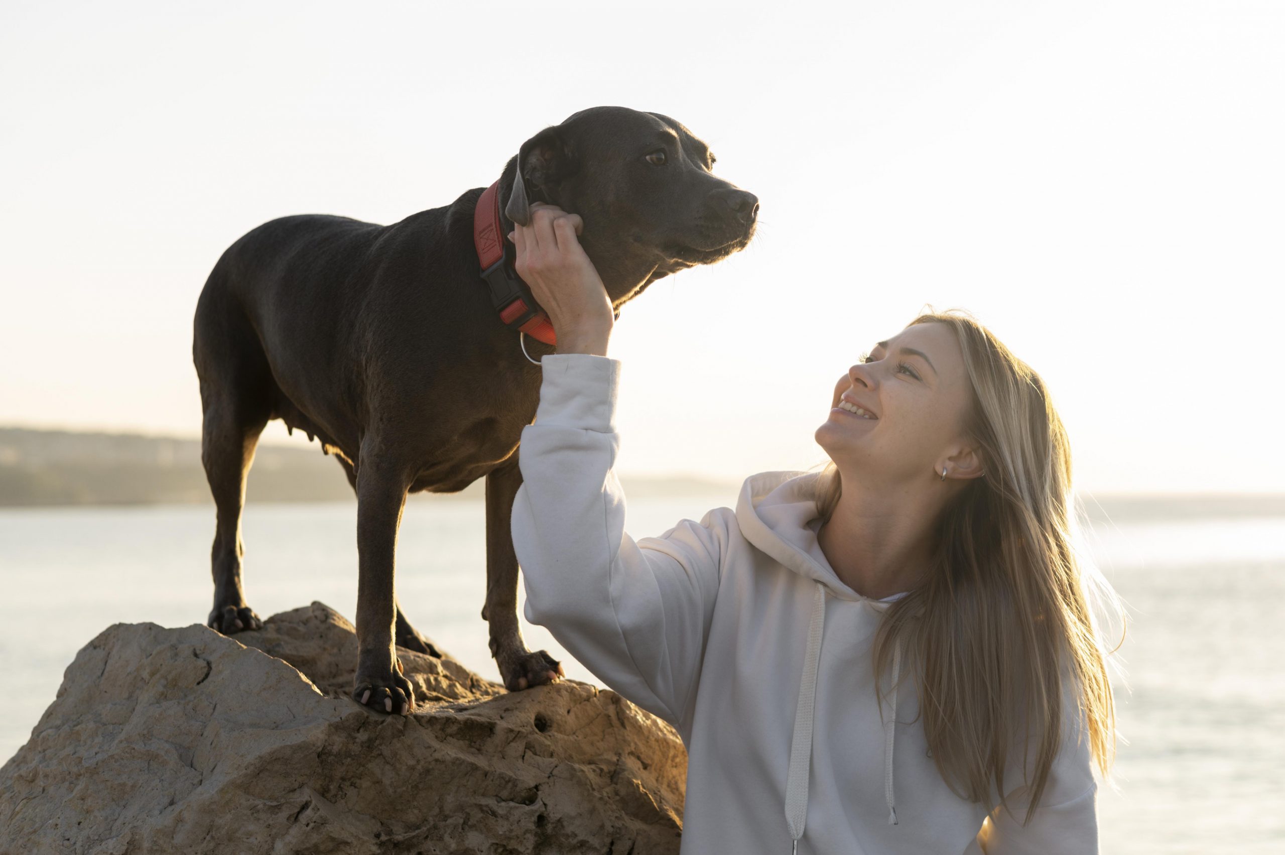 6 Secret Commands Every Dog Should Know by Heart