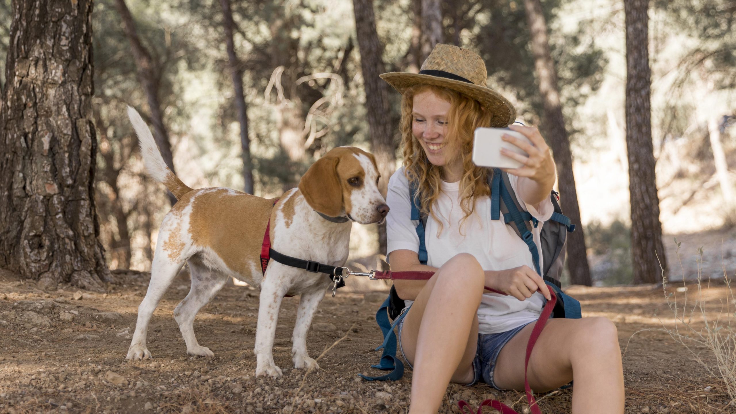6 Scenic Road Trip Routes in the UK Perfect for Dogs | Dog-Friendly Travel Guide