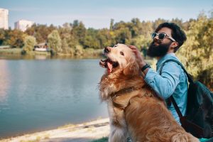 6 Common Mistakes UK Owners Make When Travelling with Dogs