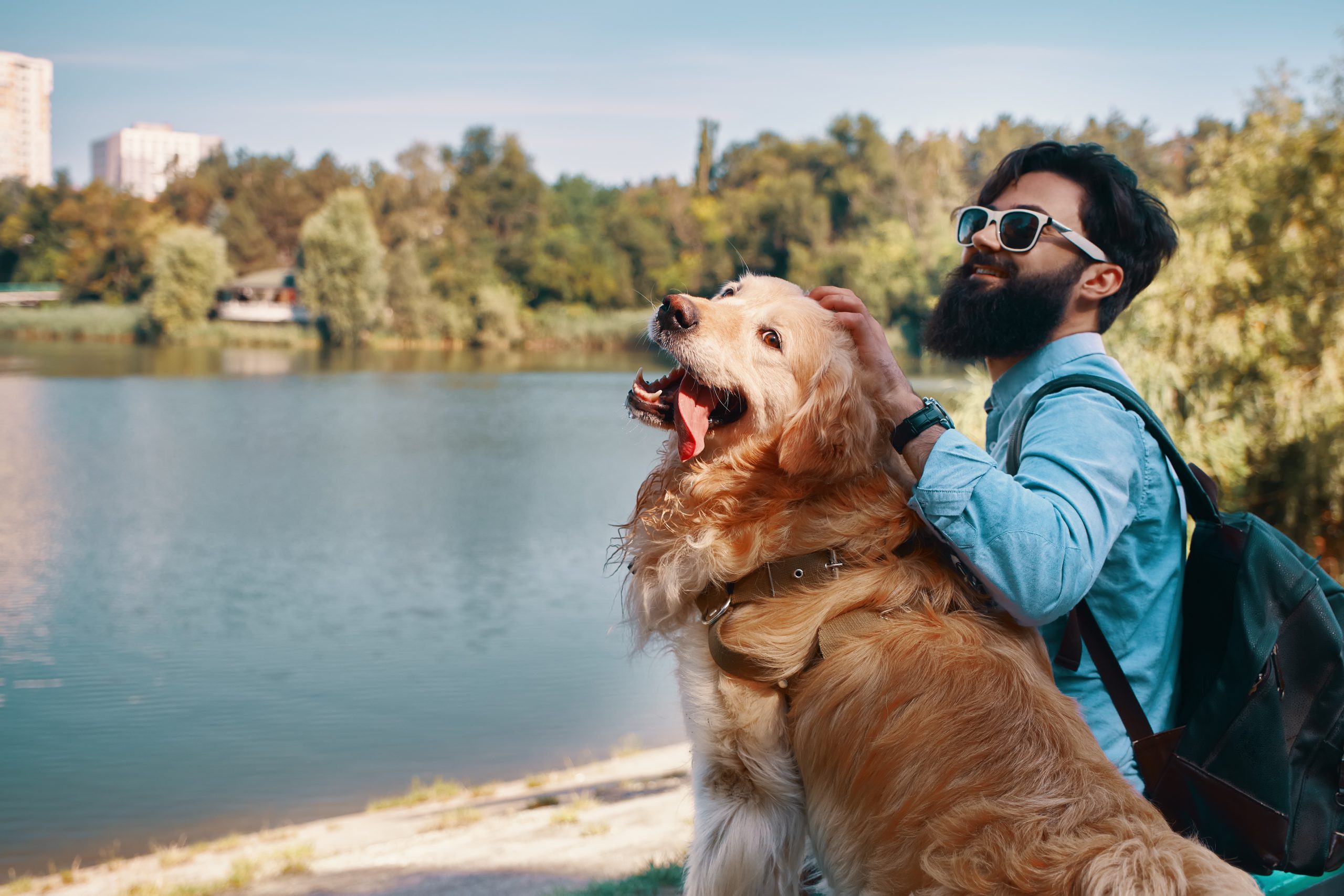 6 Common Mistakes UK Owners Make When Travelling with Dogs