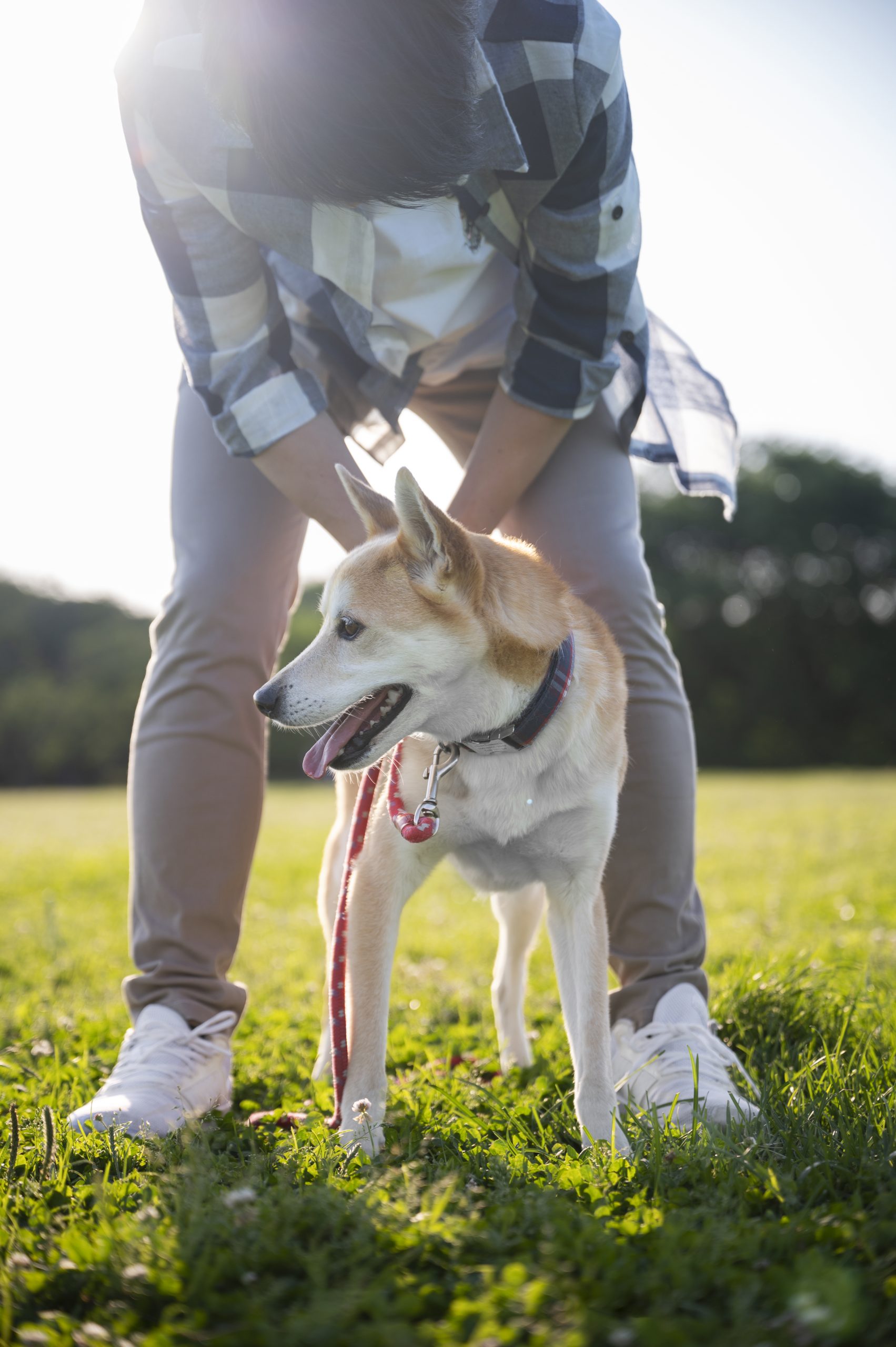 4 Reasons Dogs Prefer Certain People Over Others