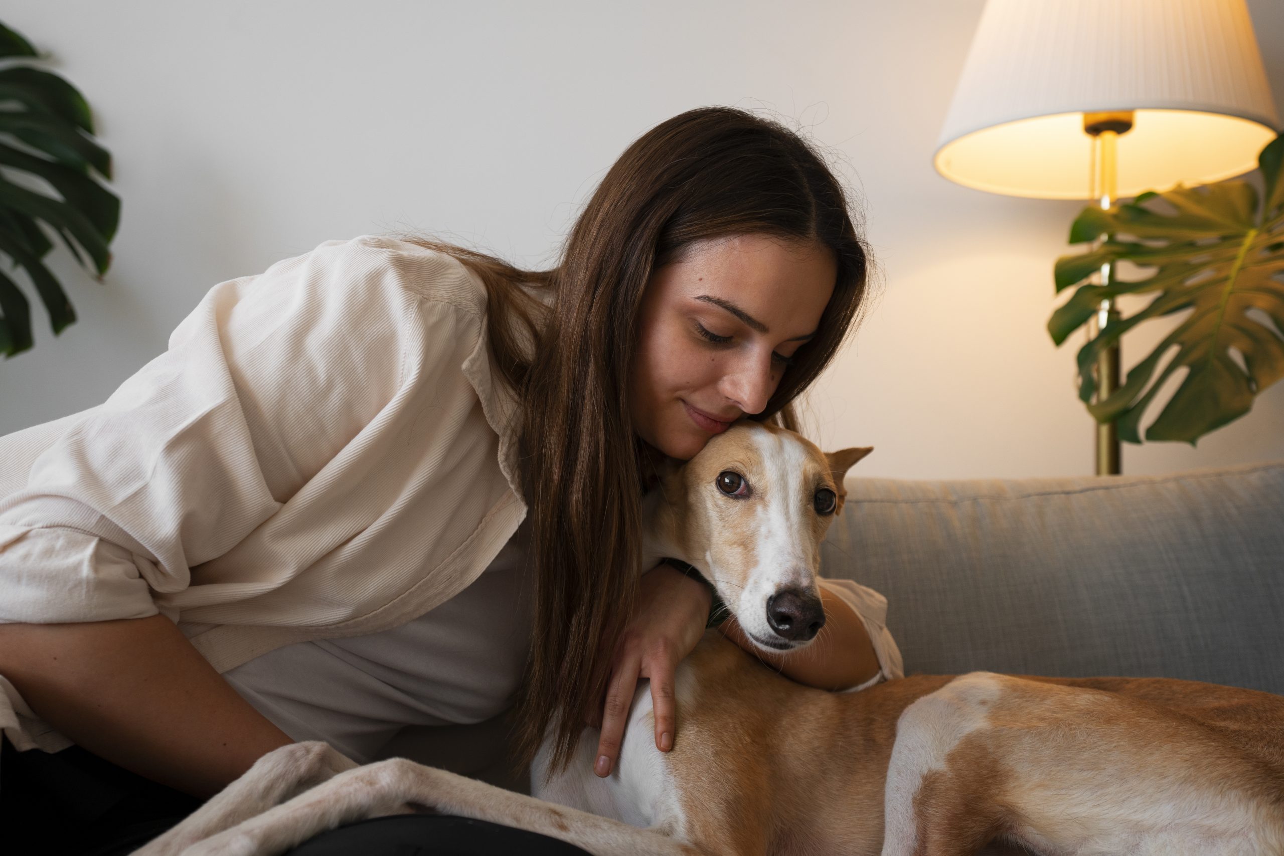 7 Ways Your Dog Reads Your Emotions Without You Speaking