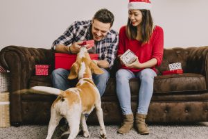 Prepare Your Dog for a Festive Family Gathering