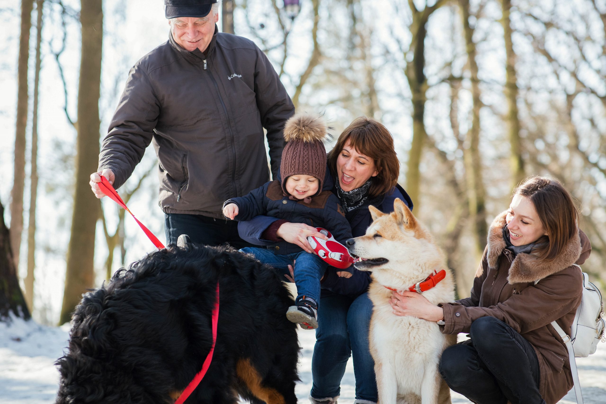 Prepare Your Dog for a Festive Family Gathering