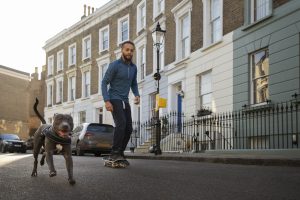 Adapting Training for Busy City Dogs